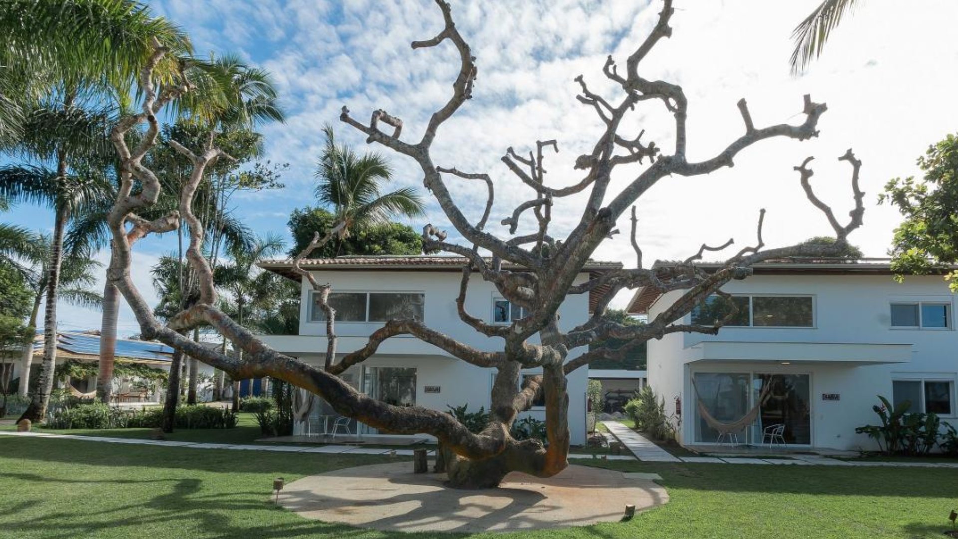 Beachfront Serenity Meets Adventure